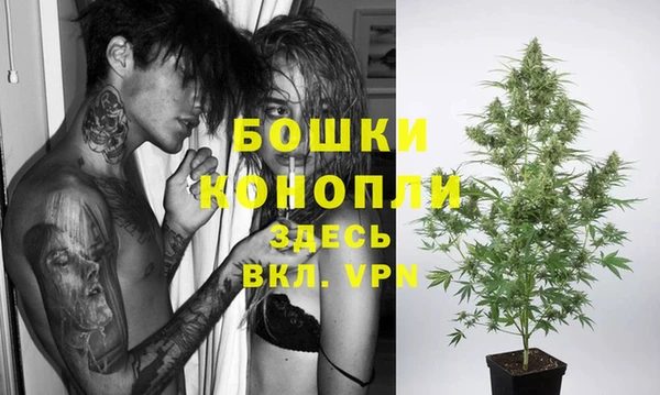 амф Арсеньев